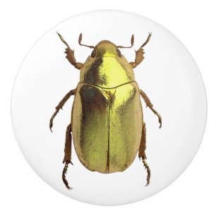 Golden Beetle Ceramic Knob
