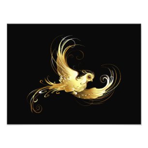 Golden Bird on Black Background Photo Print