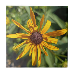 Golden Black-Eyed Susan Floral Decorative Tile B