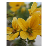 Golden Bloom Macro – Yellow Wildflower Photography