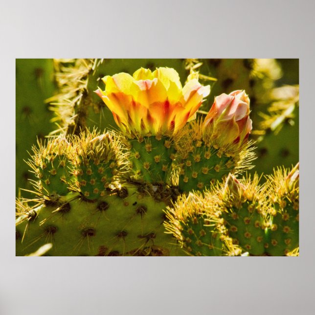 Golden Bloom Poster (Front)