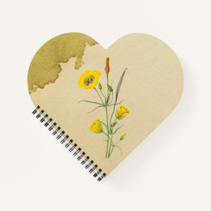 Golden Bowl Mariposa Flower Notebook