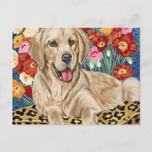 Golden Boy Retriever Postcard (Front)