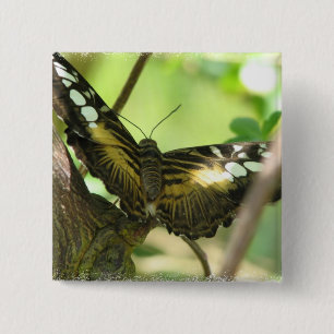 Golden Butterfly Square Pin