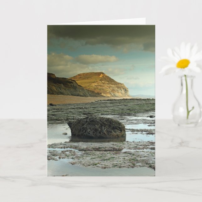 Golden Cap, Dorset Card (Small Plant)