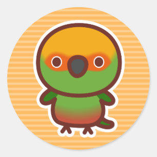 Golden-capped parakeet classic round sticker