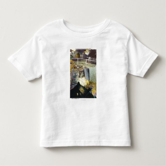 Golden Cascade and Natural Bridge View Toddler T-Shirt (Front)