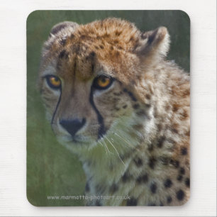 Golden Cheetah Mousemat