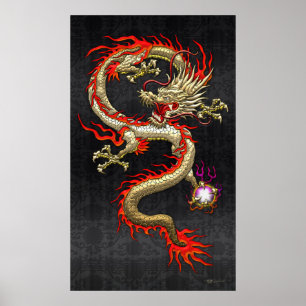 Golden Chinese Dragon Fucanglong on Black Silk Poster