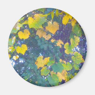 GOLDEN CLOSE UP MAGNET