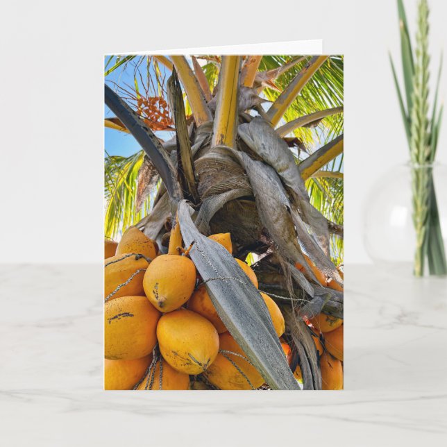 Golden Coconuts Thank You Card (Front)