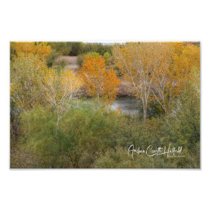 Golden Colorado Photo Print