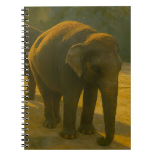 Golden Companions – Elephant Trio in Warm Light Notebook