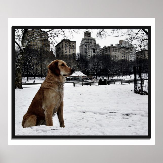 Golden-Conservatory-Central Park 3D Frame Poster (Front)