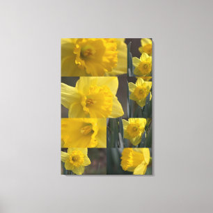 Golden Crown Narcissus (Daffodil) Photo Collage Canvas Print