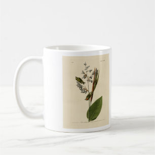 Golden-crowned Kinglet, Audubon's Birds of America Coffee Mug