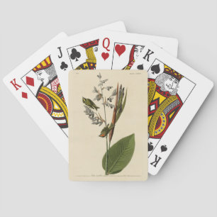 Golden-crowned Kinglet, Audubon's Birds of America Playing Cards
