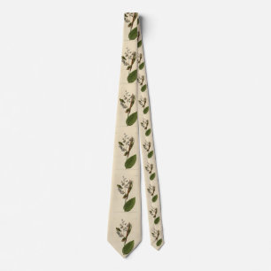 Golden-crowned Kinglet, Audubon's Birds of America Tie