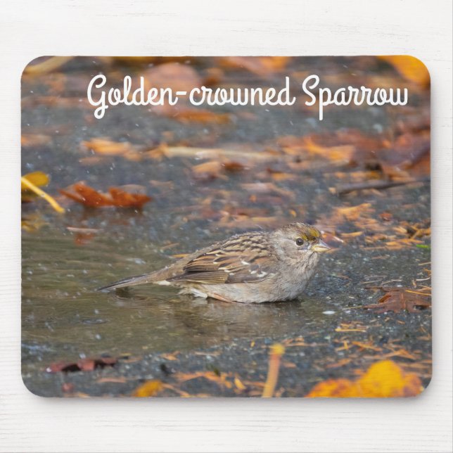 Golden-crowned Sparrow Mouse Pad (Front)