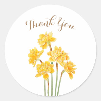 golden daffodils flowers watercolor classic round sticker
