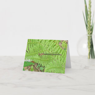 Golden Damselfly on Fern Note Card