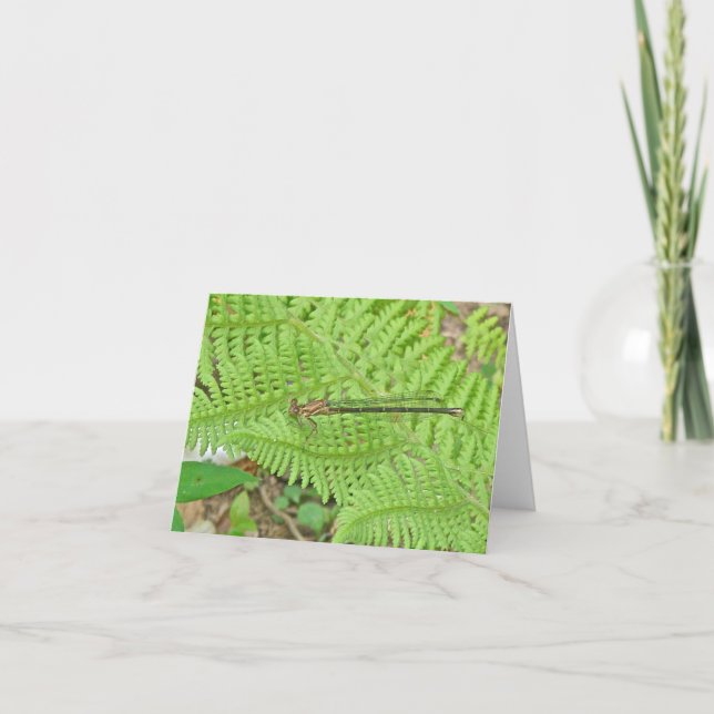 Golden Damselfly on Fern Note Card (Front)