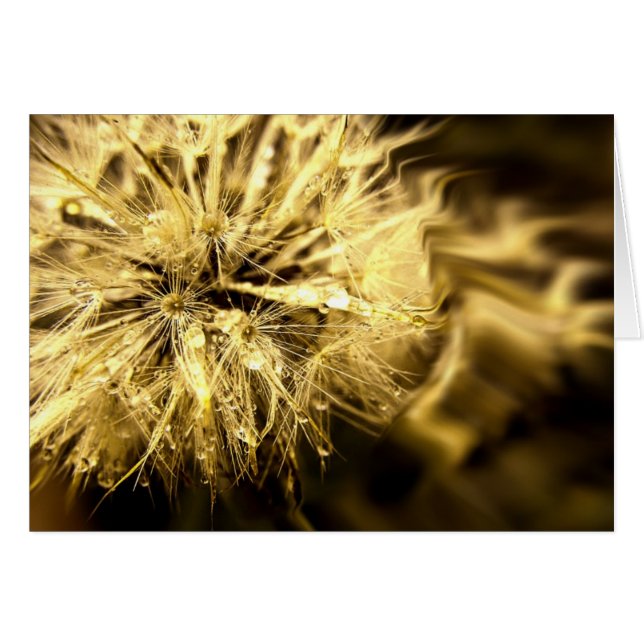 Golden Dandy Dreams Card (Front Horizontal)