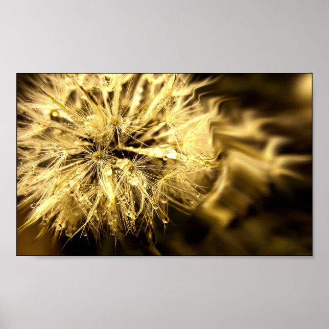 Golden Dandy Dreams Poster (Front)