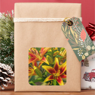 Golden Day Lily – Summer Bloom Square Sticker