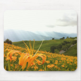 Golden Daylily flower Valley Mouse Pad