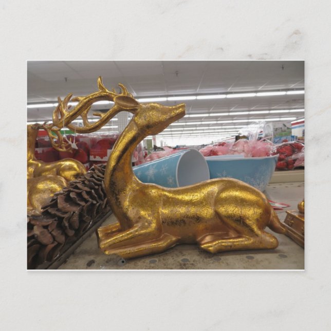 Golden Deer Decoration Postcard (Front)
