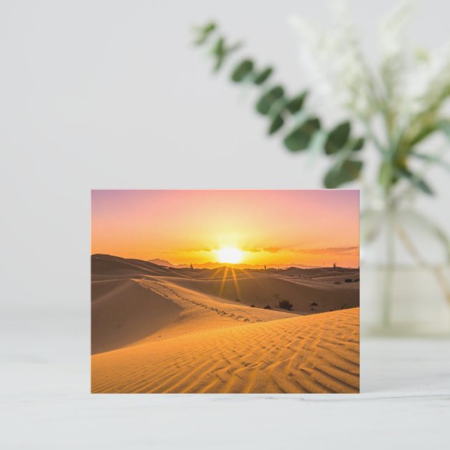 Golden Desert Sunset Dunes Postcard (Standing Front)