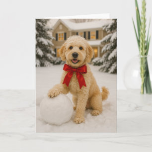 Golden Doodle Holiday Card