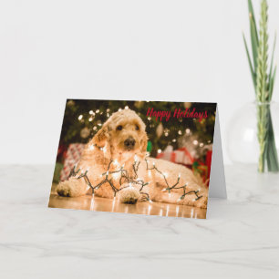 Golden Doodle Holiday Christmas Card