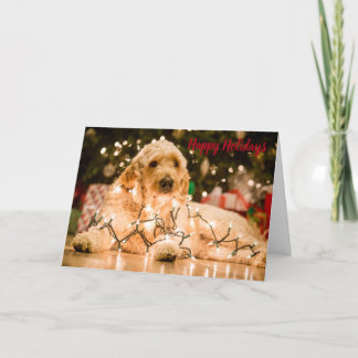 Golden Doodle Holiday Christmas Card