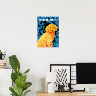 Golden doodle, my soulmate! poster