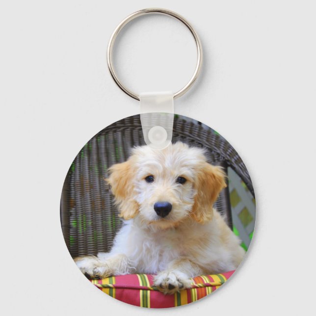 Golden Doodle Puppy Keychain (Front)