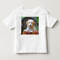 Golden Doodle Puppy Love Toddler T-shirt