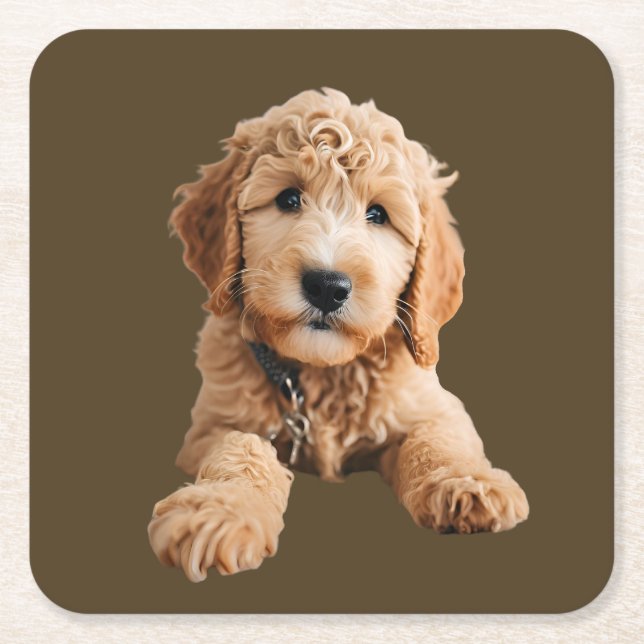 Golden Doodle Puppy Square Paper Coaster (Front)