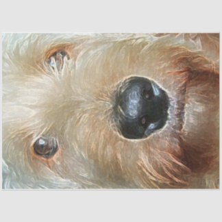 Golden Doodle Tissue Paper for gifts and decoupage