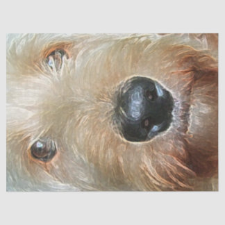 Golden Doodle with big black squishy nose Tissue  Paper