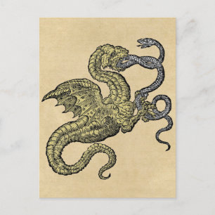 Golden Dragon Fighting Snake Postcard