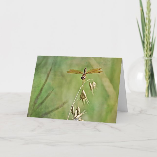 Golden Dragonfly Gold Nature Art Note Card (Front)