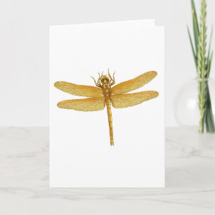 Golden Dragonfly Greeting Card