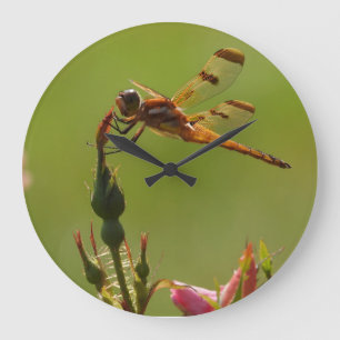 Golden Dragonfly on Green Large Clock