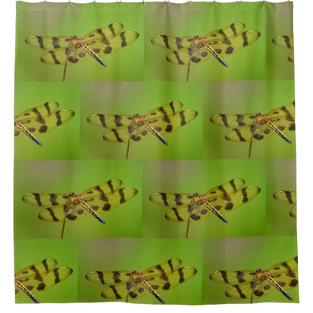 Golden Dragonfly Shower Curtain (Front)