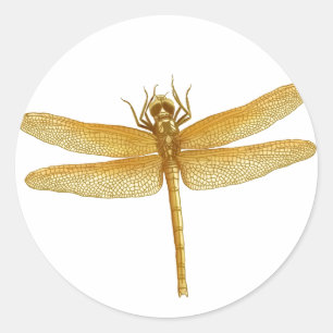 Golden Dragonfly Sticker