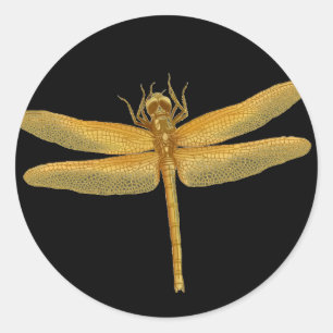 Golden Dragonfly Sticker