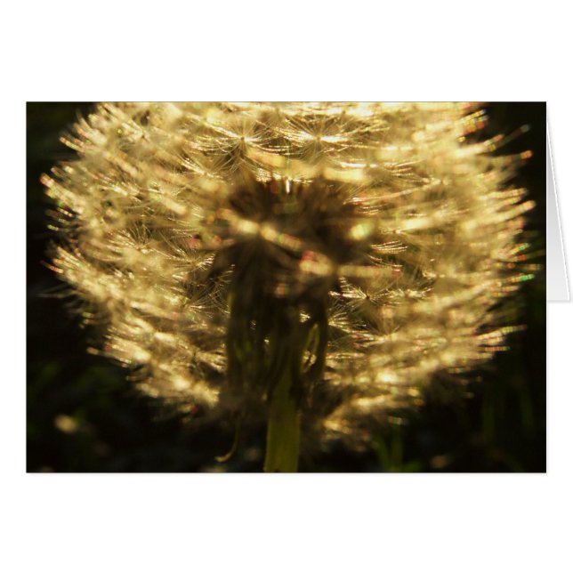 Golden Dreams Card (Front Horizontal)