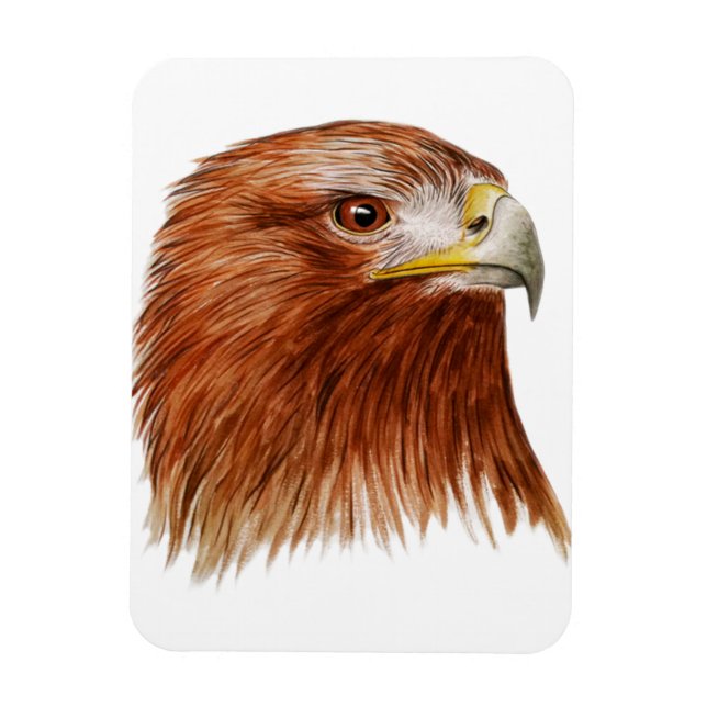 Golden Eagle 2011 Magnet (Vertical)